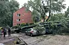 In der Mozartstraße in Barmbek-Süd begrub ein Baumgigant mehrere geparkte Autos.
