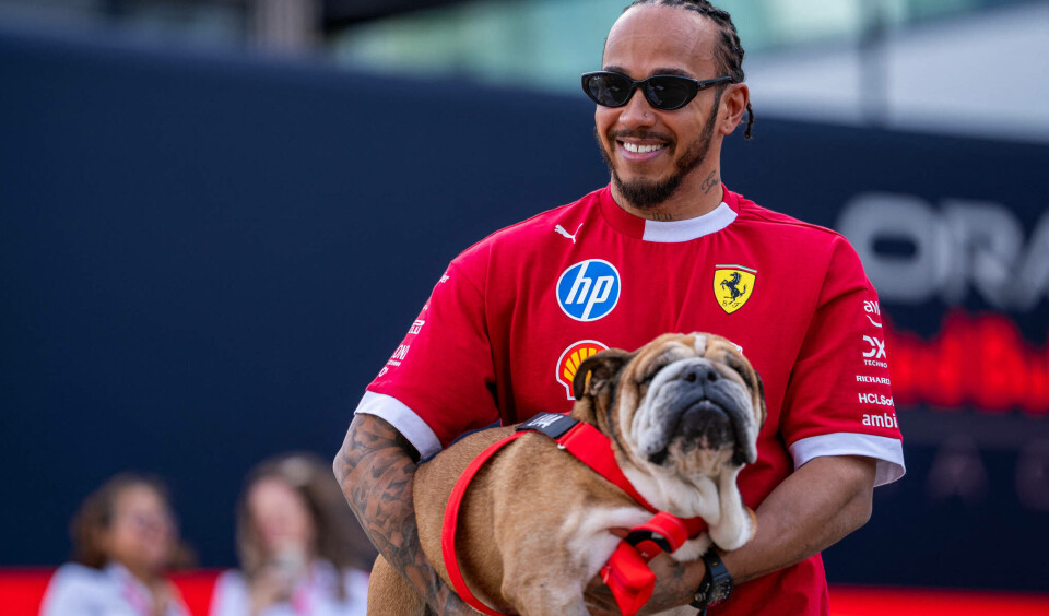 Lewis Hamilton trauert um Hund Roscoe: „Habe meinen besten Freund verloren“ | MOPO