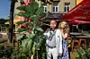 Grünkohl an der Feldstrasse, Kneipe Libero. Inhaber Tobi Libero und Tochter Marlen haben den Kohl gepflegt und wachsen lassen. Jetzt fotografieren ihn sogar die Leute.