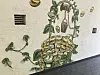 Hauswand