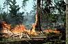 Waldbrand