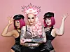 Belle la Donna (M.) will zum ESC! Ihre beiden Tänzerinnen, die sie liebevoll „Pink Army“ nennt, wären auch auf der Riesen-Bühne dabei.