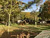 Mehr als 23 Jahre nach dem Verschwinden von Hilal suchen Polizei und Staatsanwaltschaft erneut nach Spuren im Altonaer Volkspark.