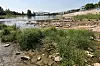 Elbe