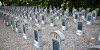Auf dem Westerbegraafplaats Friedhof in Gent kam es zu einer Gruppenvergewaltigung.