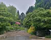 Schmaler Weg zwischen dichtem Grün, Bäumen und blühenden Sträuchern in einem Park.
