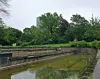 Betonbecken in einer grünen Parkanlage mit Bäumen und einem Hochhaus im Hintergrund.