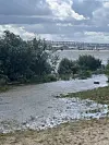 Überflutete Wiese am Flussufer mit Bäumen, Sträuchern und Brücke im Hintergrund.