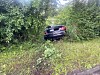 Dunkles Auto steckt am Rand einer überwucherten Grünfläche im Gebüsch bei Stade.