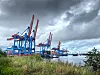 Containerkräne in Moorburg