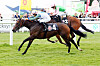Clever Candy beim Galopp-Derby in Hamburg