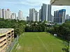 Grüner Sportplatz vor einer Skyline aus Hochhäusern und Bäumen im Vordergrund.