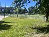 Sonnige Wiese mit Baum vor eingezäuntem Sportgelände und Gebäuden im Hintergrund.