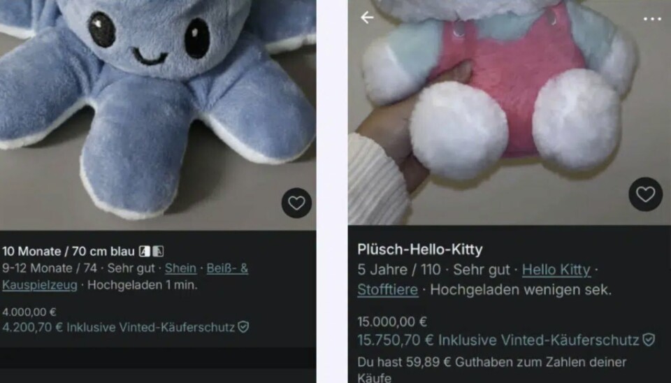 Kuscheltier für 15.000 Euro: Gerüchte um Kinderhandel auf Vinted – Faktenchecker warnen