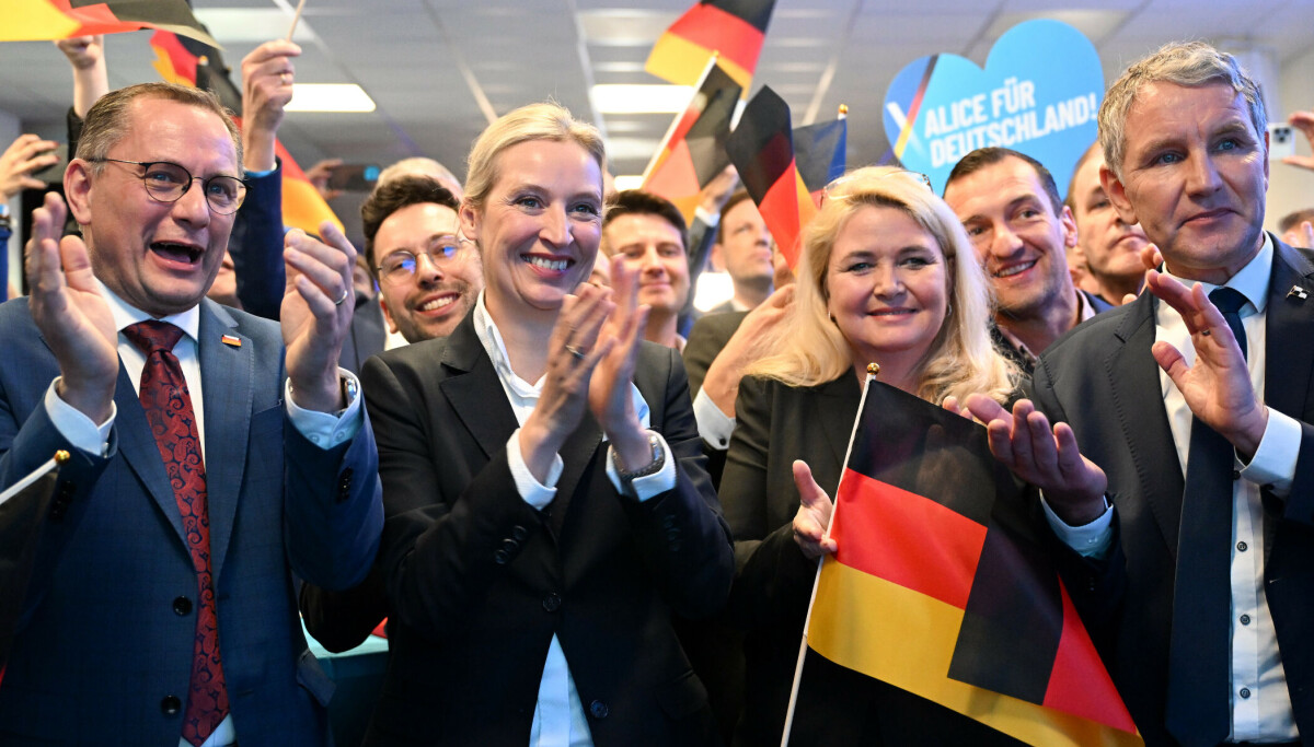 Gutachten: So stehen die Chancen für einen AfD-Verbotsantrag