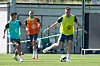 Drei VfL-Wolfsburg-Spieler trainieren auf dem Platz, Hauke Wahl spielt den Ball.