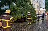 Feuerwehrkräfte sichern in Hamburg-St. Pauli ein von Ästen bedecktes Auto nach einem Gewitter.