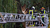 Feuerwehrmänner schneiden von einer Drehleiter aus abgebrochene Weidenäste an der Havel ab.