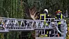 Feuerwehrmänner schneiden von einer Drehleiter aus abgebrochene Weidenäste an der Havel ab.