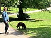 В Гамбурге открыт один из самых красивых, но трудных пешеходных маршрутов с видом на Эльбу