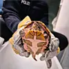 Gepanzerte Schildkröte wird von behandschuhten Händen gehalten.
