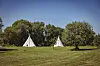 Tipis auf einer Wiese auf dem Campingplatz Elbinsel Lühesand unter blauem Himmel.
