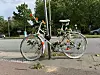 Das „Ghostbike“ soll nun dauerhaft an den tödlichen Unfall erinnern.