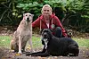 Frau in roter Jacke sitzt mit drei Hunden im Garten.