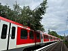 Roter Regionalzug auf Gleisen neben Bäumen und unter grauem Himmel.
