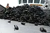Crew-Mitglied an Bord eines Muschelkutters mit frisch gefangenen Miesmuscheln vor Hörnum.