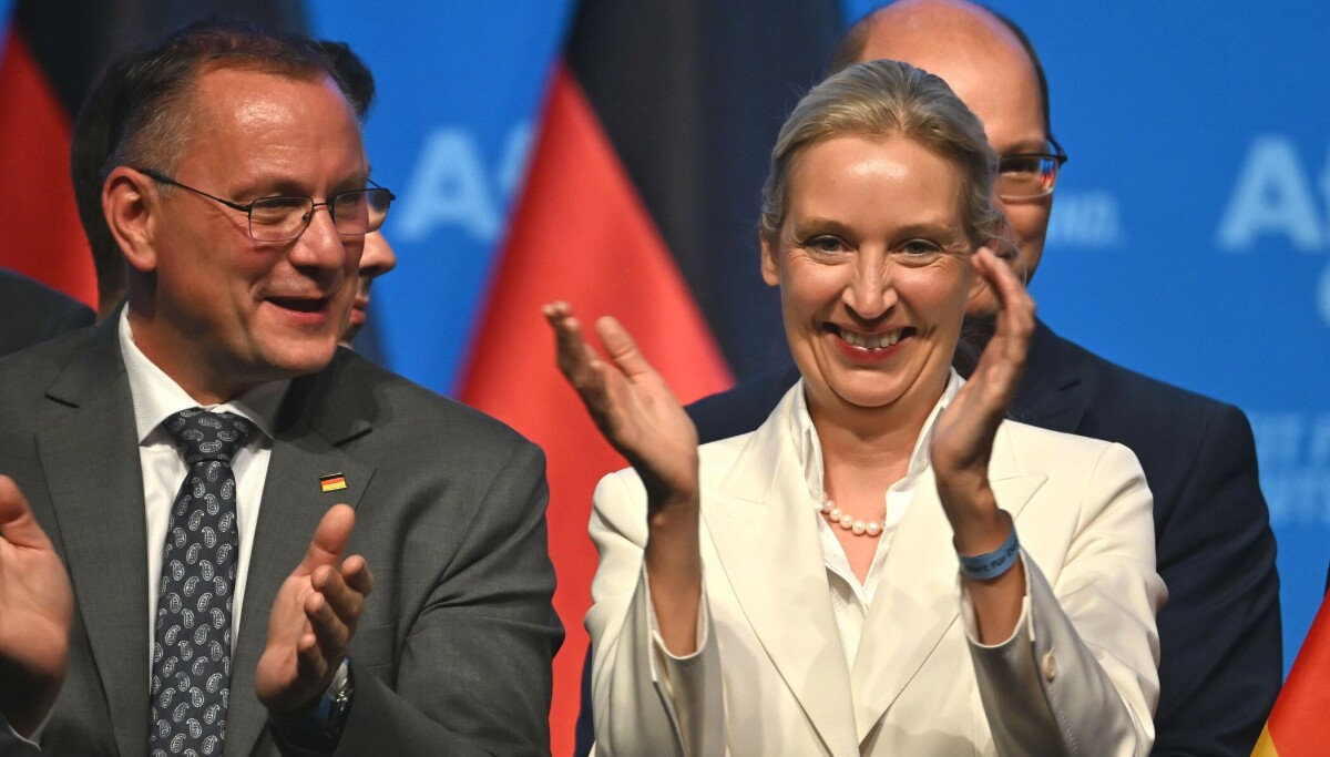 Alice Weidel, die große Gewinnerin des AfD-Parteitags
