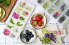 Eiswürfelformen mit Beeren, Blüten und Kräutern neben Zitronenscheiben und Schalen mit Früchten