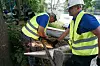 Zwei Arbeiter in Warnwesten schneiden im Freien einen Baumstamm mit einem Winkelschleifer, Funken sprühen.