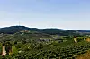 Weinberge und sanfte Hügel am Kaiserstuhl unter blauem Himmel.