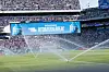 Trinkpause im Stadion, Sprinkler bewässern den Rasen vor dicht besetzten Tribünen beim WM-Spiel Paraguay gegen Frankreich.