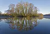 Bäume auf einer Insel spiegeln sich im ruhigen See unter blauem Himmel.