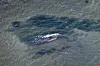 Buckelwal liegt im Flachwasser der Kirchsee vor der Insel Poel, eine Rinne führt ins tiefere Wasser.