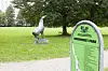 Die Skulptur „Pferdebändiger“ ohne Mann