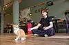 Person sitzt im Yoga-Sitz neben einer Katze im Katzentempel, im Hintergrund Café-Möbel.