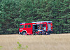 Feuerwehreinheiten an der Waldkante im Müritz-Nationalpark neben einem Einsatzfahrzeug.