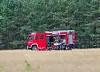 Feuerwehreinheiten an der Waldkante im Müritz-Nationalpark neben einem Einsatzfahrzeug.