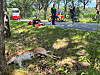 Rettungskräfte und Feuerwehr an einer Landstraße, im Vordergrund ein totes Reh am Straßenrand.