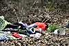 Illegal entsorgter Abfall im Wald.