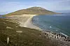 Rockhopper-Pinguine drängen sich am Fuß einer Klippe an der Küste von Saunders Island auf den Falklandinseln.