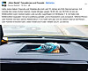 Blau-weißer Vogel sitzt auf dem Armaturenbrett eines Autos vor der Windschutzscheibe.
