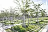 Der neue Deckelpark in Schnelsen.