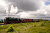 Brockenbahn mit Dampflok und Waggons im Nationalpark Harz auf einer grünen Wiese unter dunklen Wolken.