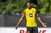 Sebastien Haller