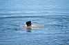 Mann taucht im Badesee auf und schüttelt die Haare, Wasser spritzt um ihn herum.