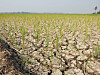-Super-El-Nino-im-Anmarsch-Was-das-Wetter-Ph-nomen-f-r-Deutschland-bedeutet